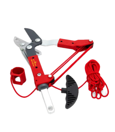 TIJERA OUTILS WOLF ORM