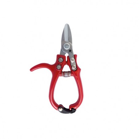 ALICATE KAMIKAZE MEDITERRÁNEO